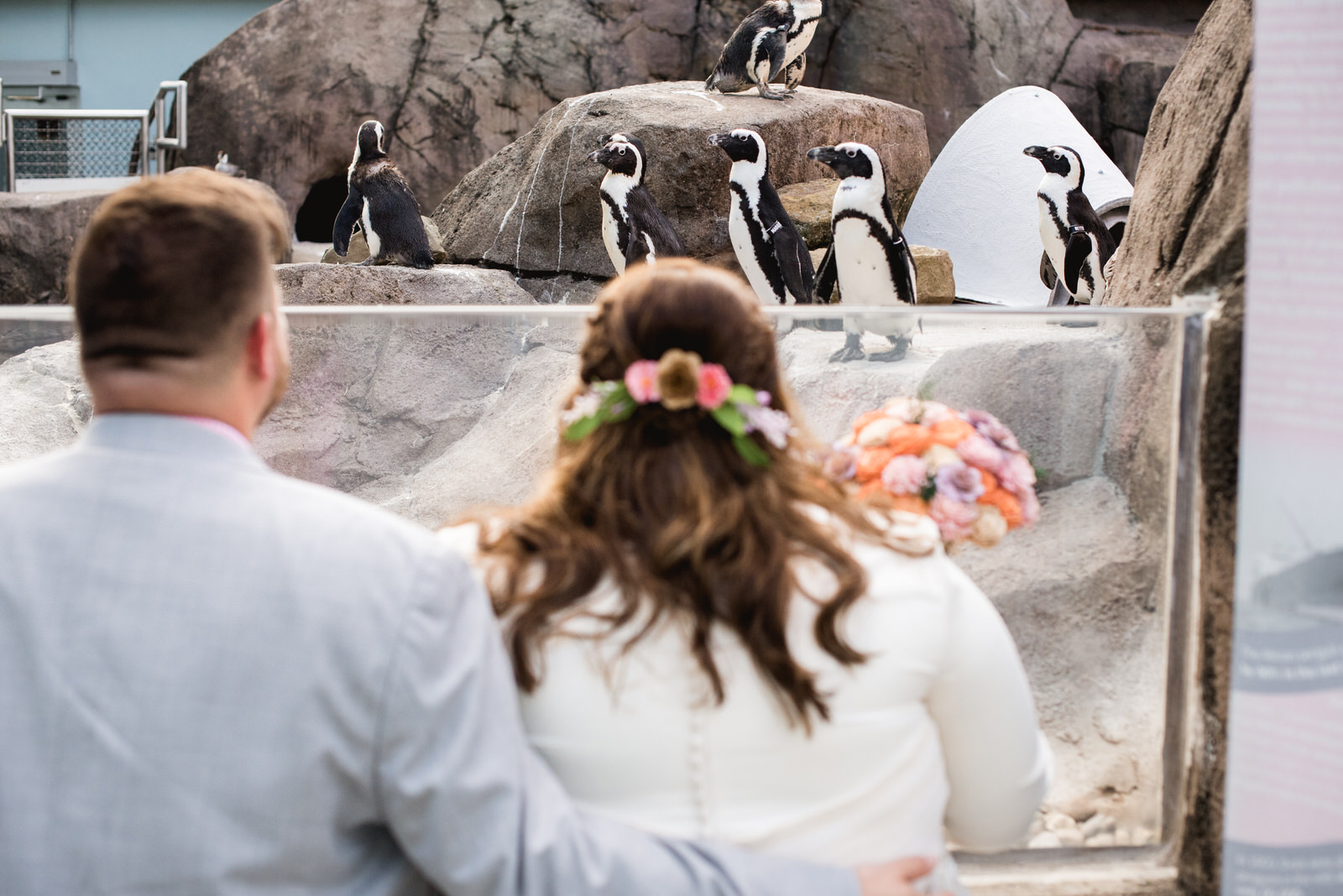 pittsburgh-aviary-wedding-penguins-ashley-reed-photography